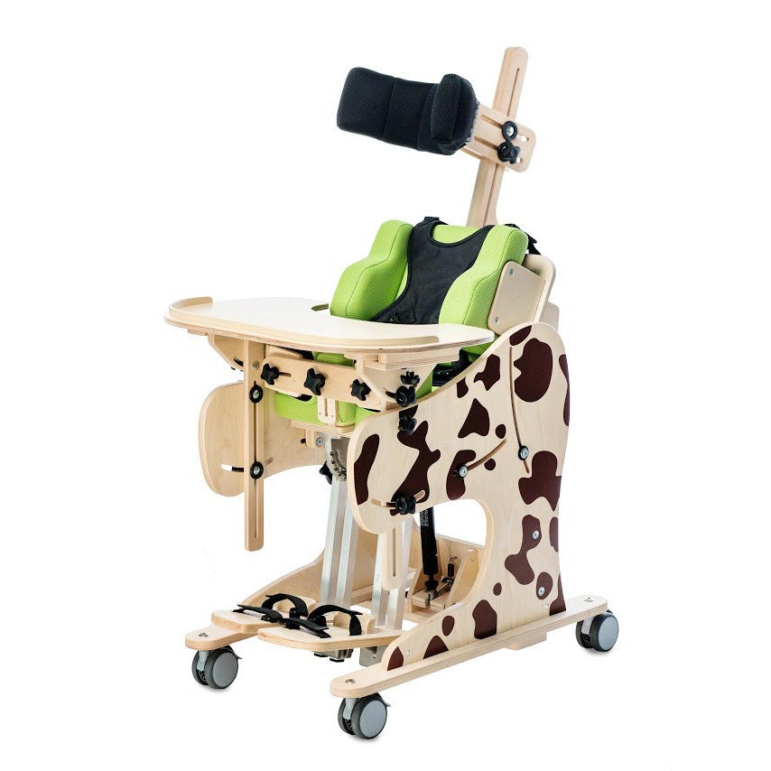 Dalmatian Invento Multi-Functional Chair & Stander